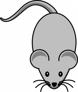 Free Mouse Cliparts, Download Free Clip Art, Free Clip Art on ...