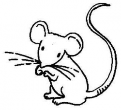 Mouse Tracks Clipart - Clip Art Library