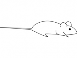 Free Mouse Clipart, Download Free Clip Art on Owips.com
