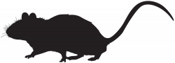 Mouse Silhouette PNG Clip Art Image | Gallery Yopriceville - High ...