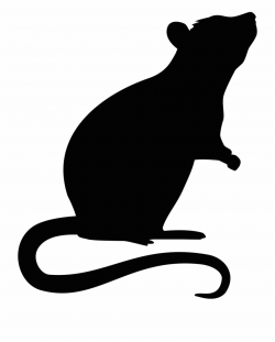 Mouse Rodent Transprent Png Free Download Ⓒ - Rat Silhouette Png ...