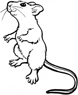 Free Cute Mouse Clipart, Download Free Clip Art, Free Clip Art on ...