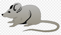 Mouse Free Vector 4vector - Mouse Clipart Png, Transparent Png ...