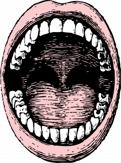 Clipart open mouth - Cliparting.com