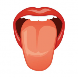 26+ Tongue Clipart | ClipartLook