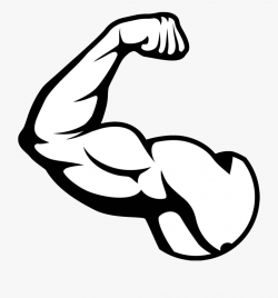 Muscle Arm Png Picture - Muscles Clipart Black And White ...