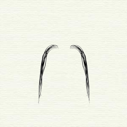 Fu Manchu moustache World Beard and Moustache Championships ...