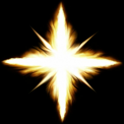 Pin by Hansen Hansen on muzzle flash in 2019 | Flowers, Plants