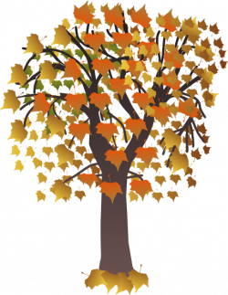 Tree Clipart | Maple Tree clip art - vector clip art online, royalty ...