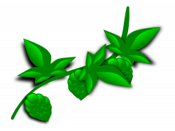 Tropical rainforest Plants Vine Amazon rainforest free commercial ...