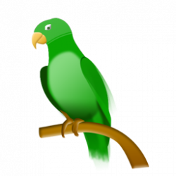 Science for Kids: Tropical Rainforest Biome