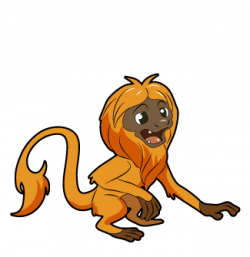 The incredible rainforest at the National Aquarium | Life is like ...