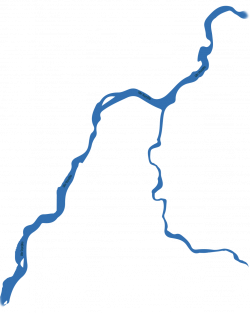 English Greenpeace International – Heart of the Amazon – Save the ...