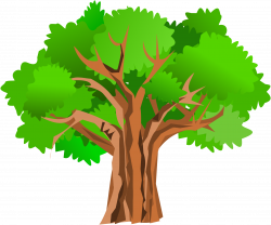 Apple tree shadow free svg free library - RR collections