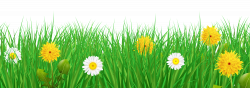 Grass and flowers banner royalty free stock - RR collections