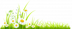 Spring grass clipart | flowers | Clip art, Spring, Grass clipart