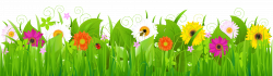 Spring flower border picture freeuse library - RR collections