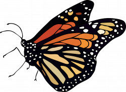 14 cliparts for free. Download Monarch clipart little butterfly and ...