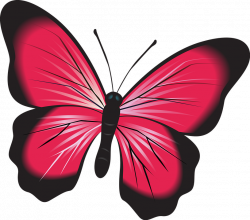 Free photo Butterfly Natural Bug Nature Insect Clip Art Pink - Max Pixel