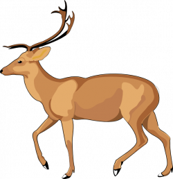 Free Baby Deer Clipart, Download Free Clip Art, Free Clip Art on ...