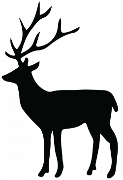 Best Mule Deer Silhouette Photos » Free Vector Art, Images, Graphics ...