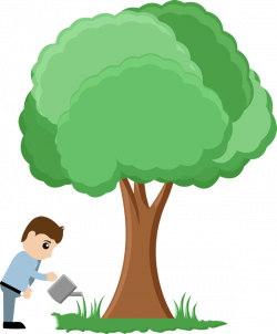 Save Tree PNG Transparent Images | PNG All