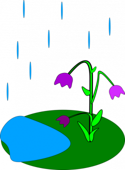 April shower Animation Download Drawing Cartoon free commercial ...