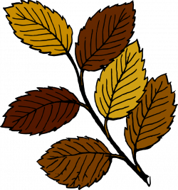 Clipart fall nature images collection