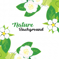 Leaves And Flowers With Nature Background, Leaves, Background ...