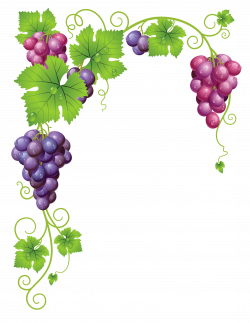 Pin by Joanie Lawrence-Cain on Grapes & Vines | Clip art, Grape ...