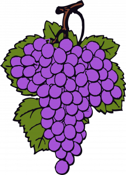 Free Grapes Cliparts, Download Free Clip Art, Free Clip Art on ...
