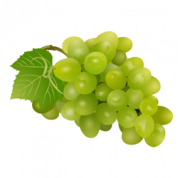 Grape PNG Images | Vectors and PSD Files | Free Download on Pngtree