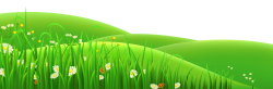 Grass and flowers banner royalty free stock - RR collections