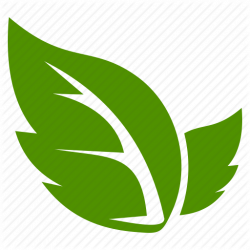 Agriculture, ecology, green, leaf, leaves, natural icon