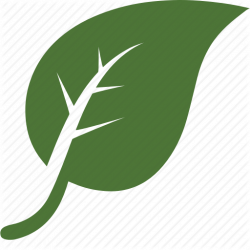 Environnement, garden, green, leaf, leaves, nature, tree icon
