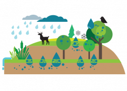 Green Infrastructure Tools - Buffalo Sewer - Raincheck