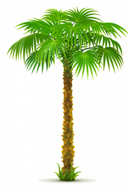 Pin by Naenae Nanny on Tree | Pinterest | Clip art, Palm tree png ...