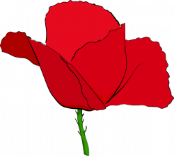 Common poppy Remembrance poppy Flower Red free commercial clipart ...