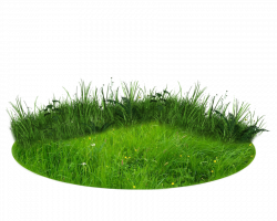 Nature Transparent Background Vector, Clipart, PSD - peoplepng.com