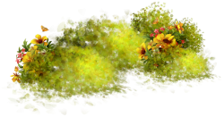 Nature PNG Photos Vector, Clipart, PSD - peoplepng.com