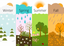 Download FOUR SEASONS Free PNG transparent image and clipart