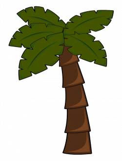 14 cliparts for free. Download Rainforest clipart natural ...