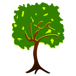 Branch Tree Drawing Plant Nature story free commercial clipart ...