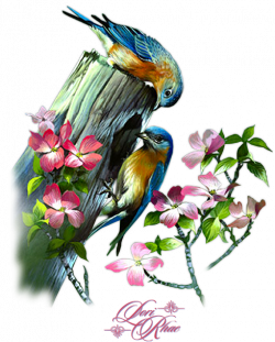 LAMINAS PARA DECOUPAGE 3 | Clip Art | Pinterest | Birds, Birds 2 and ...