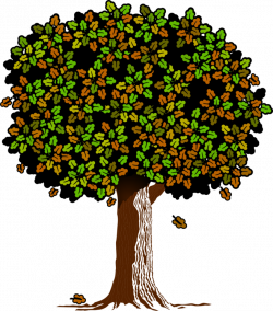 Tree Oak Forest Hardwood Nature free commercial clipart - Tree,Oak ...