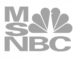 msnbc-logo-gray - Castle Montessori