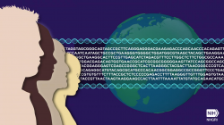 NHGRI funds centers for advancing the reference sequence of ...