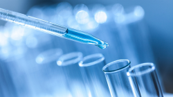 Seven Harvard researchers receive NIH funding for high-risk ...