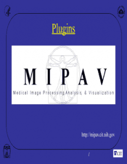 Fillable Online mipav cit nih Plugins - mipav cit nih Fax ...