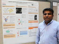NIH Research Festival Hosts Postdoc Poster-Palooza | NIH ...